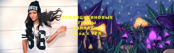 хмурый Арсеньев