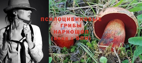 МДПВ Армянск
