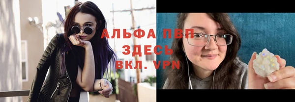 хмурый Арсеньев