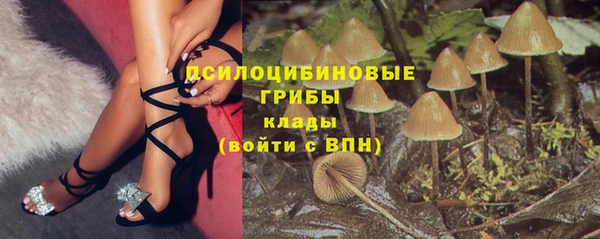 spice Балабаново