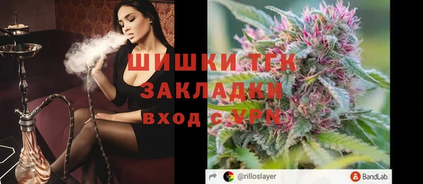 хмурый Арсеньев