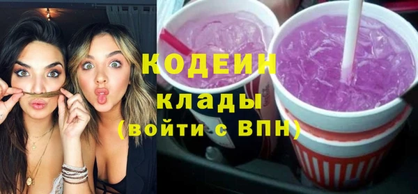 хмурый Арсеньев