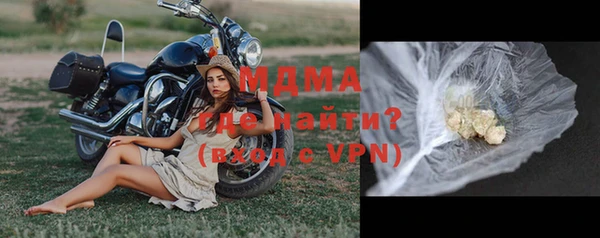 хмурый Арсеньев