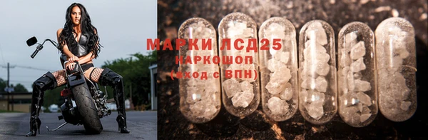 хмурый Арсеньев